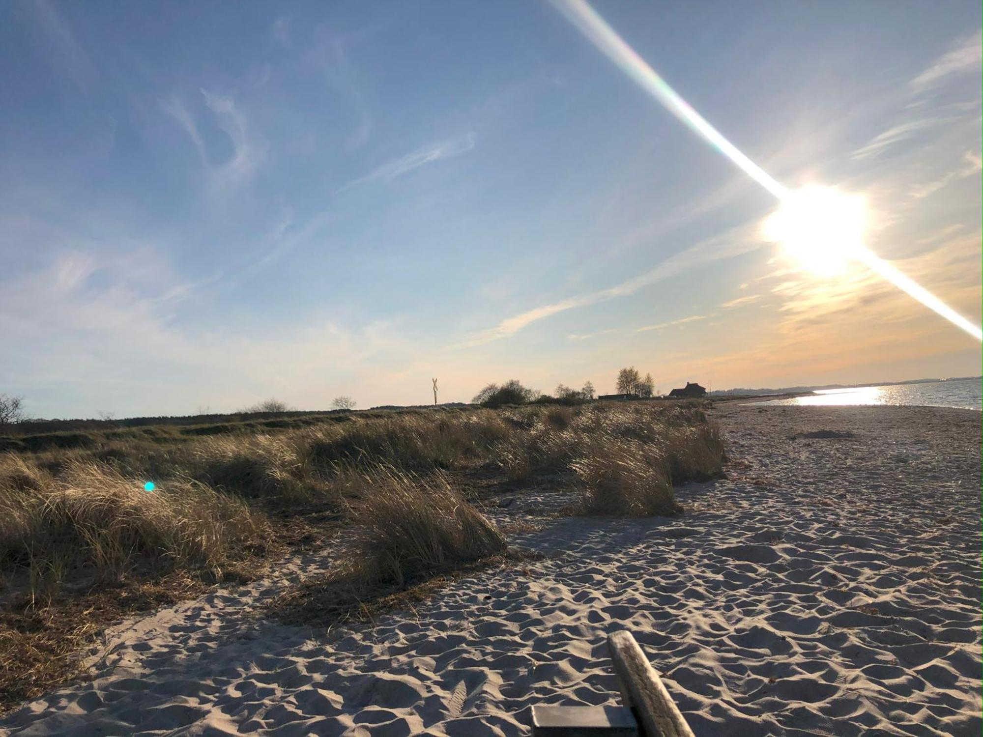 Neue An Der Ostsee,terrasse,sauna Surendorf